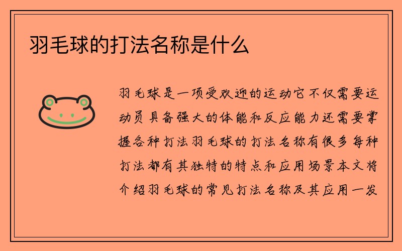 羽毛球的打法名称是什么