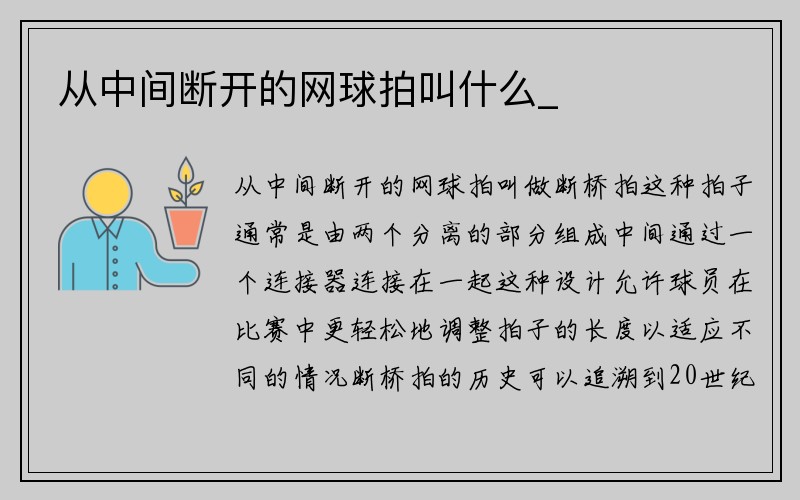 从中间断开的网球拍叫什么_