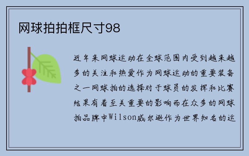 网球拍拍框尺寸98