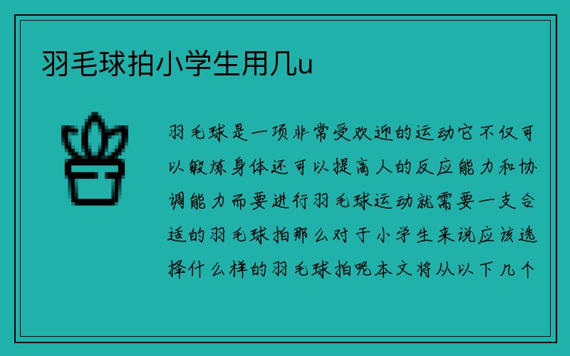 羽毛球拍小学生用几u