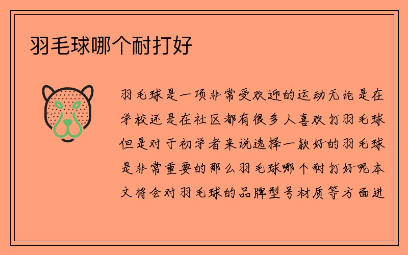 羽毛球哪个耐打好